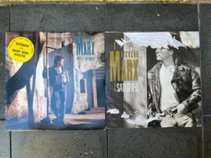Bulk Lot of 2x Richard Marx Records LP + Single Vinyl Record Collection - Bild 1 von 1