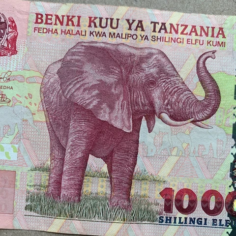 TANZANIA 10000 SHILLINGS Banknote 2003 ELEPHANT ANIMAL Paper Money Currency Cover