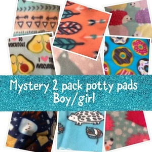 Guinea Pig 2 Pack 9”x9” Potty Pads | Pee Pads | Mystery Prints - Picture 1 of 1
