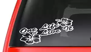 One Life Live It (T2) Vinyl Decal Sticker Car/Truck Laptop/Netbook Window - Bild 1 von 1