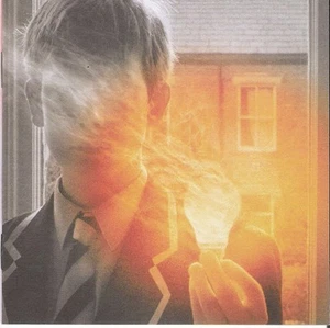 Porcupine Tree - Lightbulb Sun | CD - Bild 1 von 1