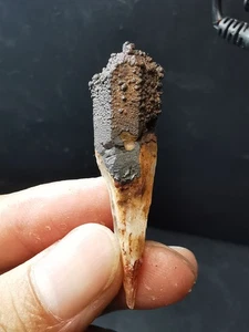 Muestra mineral punta cristalina cuarzo rojo raro transparente natural de 6,5 g - Imagen 1 de 10