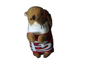 St Louis Cardinals RALLY SQUIRREL Plush Jersey wearing Red STL Sweater Jersey  - Picture 1 of 5