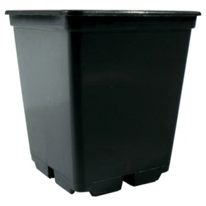 Juego de 10 esquejes cuadrados para macetas Grow de 0,25 L - Imagen 1 de 1
