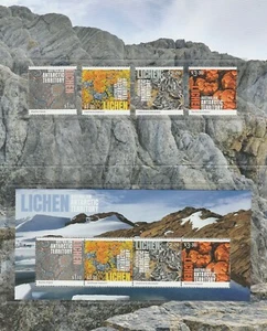Australian ANTARCTIC 2021 LICHEN MINISHEET & Set MNH in STAMP PACK - plants - Bild 1 von 3