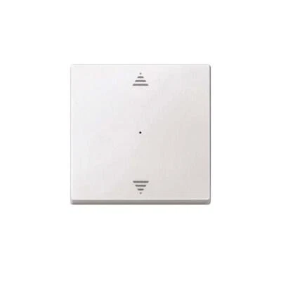 Merten Wippe pws 625519 Taster Schalter Bussystem-Tastwippen Abdeckung Wippe - Bild 1 von 4