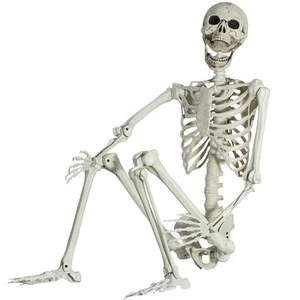 5.4Ft/165cm Posable Halloween Skeleton, Full Body Life Size Skeleton with Mov... - Picture 1 of 7