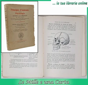 libro anatomia umana e fisiologia PRINCIPES D'ANATOMIE ET DE PHYSIOLOGIE sport - Bild 1 von 15