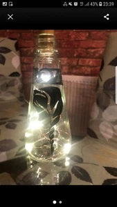 Frozen Bespoke Handmade Dc/Ln fairy lamps and figurines - Picture 1 of 2