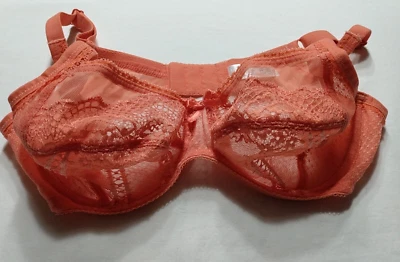 Sujetador Wacoal 34C Con Aros Mandarina Naranja Sin Forro Copa Completa Bordado Floral Foto 1 de 4