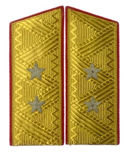 URSS Ejército Soviético M55 Tableros de Hombro Charreteras Desfile Teniente General (8769) - Imagen 1 de 5