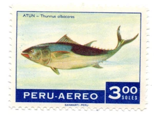 Peruvian Fish: Tuna - Atún - Thunnus Albacares, Perú 1970, accept offers - Picture 1 of 1