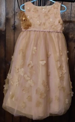 Vestido formal Biscotti para niñas talla 5 Foto 1 de 2