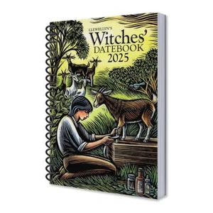 Llewellyn's 2025 Bound Witches' Datebook! NEW - Picture 1 of 11