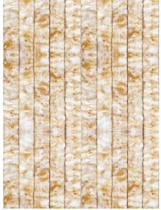 Flauschvorhang 140x220cm Türvorhang Insektenschutz Chenillevorhang Raumteiler - Bild 1 von 220
