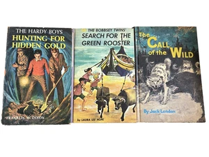 Old Books Lot 3 Childrens Kids Hardy Boys Bobbsey Twins Jack London Vtg HC Decor - Picture 1 of 20