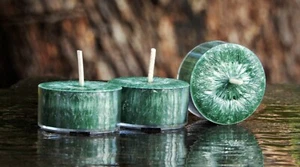 10pk 120hr/pack SAGE GREEN COUNTRY CHRISTMAS Scented Pure SOY TEA LIGHT CANDLES - Picture 1 of 11