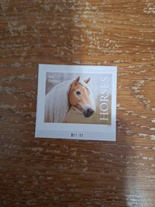 US 5895 Horses Long White Mane Facing Right F plate single MNH 2024 - Picture 1 of 3