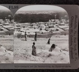 Vintage Stereoscope Card Damascus and its gardens per Image - Picture 1 of 2