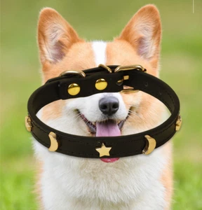 New PU Leather Puppy Neck Cat Collar Adjustable Star Moon Studded Pet Dog Collar - Picture 1 of 16