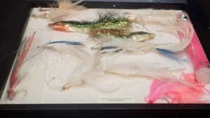 Fly fishing Tibor BILLY PATE COA x12 Offshore Saltwater Flies Lrg Display Case - Picture 1 of 24