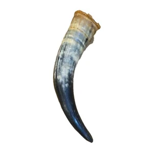 Vintage powder Horn LARGE 11" - Picture 1 of 4