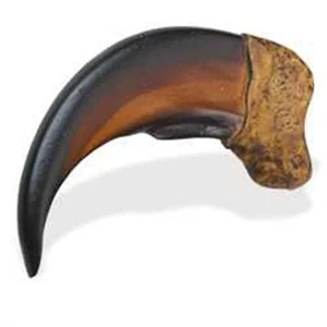 Bear Claw Resin Replica 2" Long 53990-00 Tandy Leather Crafts - Picture 1 of 1