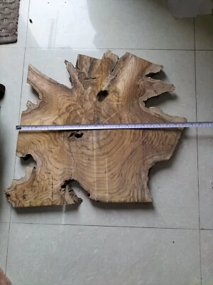 live edge slice of indian teak wood burl wood with high grains for casting craft - Image 1 of 4