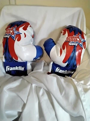Guantes de Boxeo,Franklin Future Champs Peso Mosca Guantes de Boxeo para Niños, Usados Foto 1 de 4