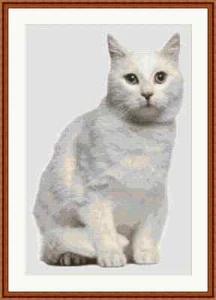 White Cat Cross Stitch Kit - Picture 1 of 2