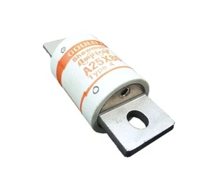 Gould Shawnut A25X80-4 Amp-Trap Tipo 4 Fusible 80 Amp NUEVO SIN CAJA - Imagen 1 de 3