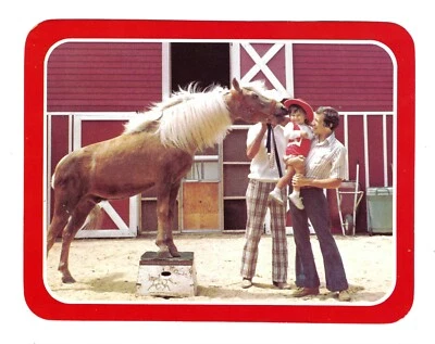 Postal de colección de los años 70: CLOUDY MISTY'S NIESON Chincoteague Miniatura Pony Farm Foto 1 de 2