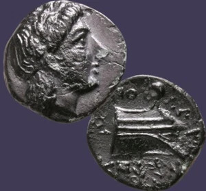 Archaios | Caria KNIDOS Aphrodite / Prow Laurel | RARE ! | Inv#63.13 - Picture 1 of 4