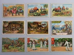 9 Kaufmannsbilder Tiger Jagd Elefanten Panther Wolf Jäger Gemsen Bären Croquet - Bild 1 von 11