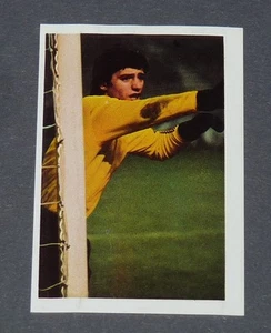 N°200 HIART STADE RENNAIS RENNES ROAZHON AGEDUCATIFS FOOTBALL 1972-1973 PANINI - Imagen 1 de 1