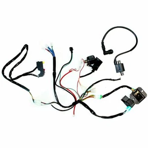 Kit de telar arnés de cableado de arranque eléctrico ZS 190cc 212cc motor PIT PRO BICICLETA DE TIERRA - Imagen 1 de 7