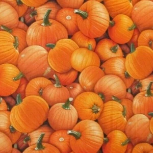 PUMPKINS REALISTIC PUMPKIN ORANGE FRUIT FOOD COTTON FABRIC FQ - Picture 1 of 4