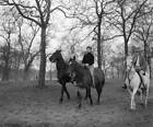 Film star Audrey Hepburn out riding Rotten Row Hyde Park Lond- 1955 Old Photo 1