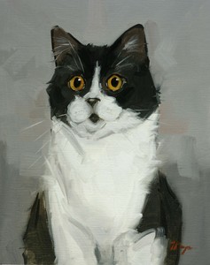 Original art - Oil painting - black and white cat portrait by UK artist j payne