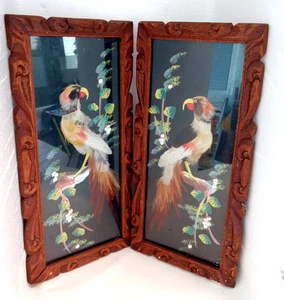 2 x Vtg 1950s 60s MCM Mexican Folk Art Framed Feathered Exotic Birds Wall Art - Picture 1 of 10