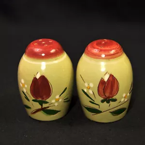 Stangl Magnolia Salt & Pepper Hand Painted Maroon Green Yellow Engobe 1952-1978 - Picture 1 of 13