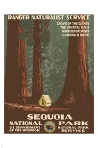 SEQUOIA NATIONAL PARK vintage nature poster 1938 RANGER NATURALIST 20x30 new - Picture 1 of 1