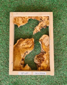 12" x 8" Live Edge Olivenholz Brett für Harz Kunstprojekte, Epoxid Brett Holz - Bild 1 von 8