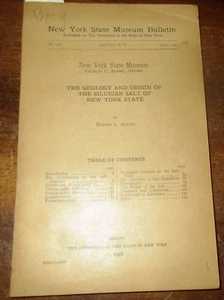 NEW YORK STATE GEOLOGY STRATIGRAPHY OF SILURIAN AGE SALT DEPOSITS NYSM BULLETIN - Foto 1 di 1