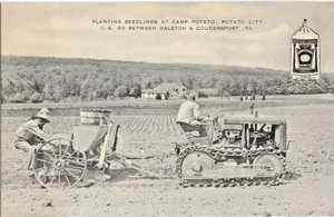 Pflanzen Sämlinge Kartoffel Stadt Galeton Coudersport PA Postkarte Blue Label U - Bild 1 von 2