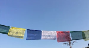25 Flags in Single Roll Tibetan Polyester Buddhist Prayer Flags – TPF13B - Picture 1 of 6