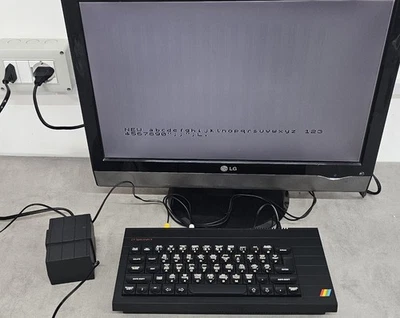 Sinclair Zx Spectrum + Cinch Eingang - Bild 1 von 4