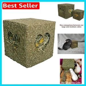 Timothy Hay Forage Cube: Enriching Chew Toy for Rabbits, Hamsters, & Guinea Pigs - Picture 1 of 6