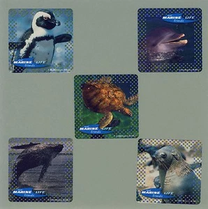 10 Our Marine Life Friends - Large Stickers - Penguin, Turtle, Whale, Dolphin - Picture 1 of 1