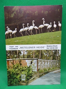 AK Metelen, Heide, Vogel- und Freizeitpark, Flamingos, Eintrittskarte (Nr. 1359) - Bild 1 von 2